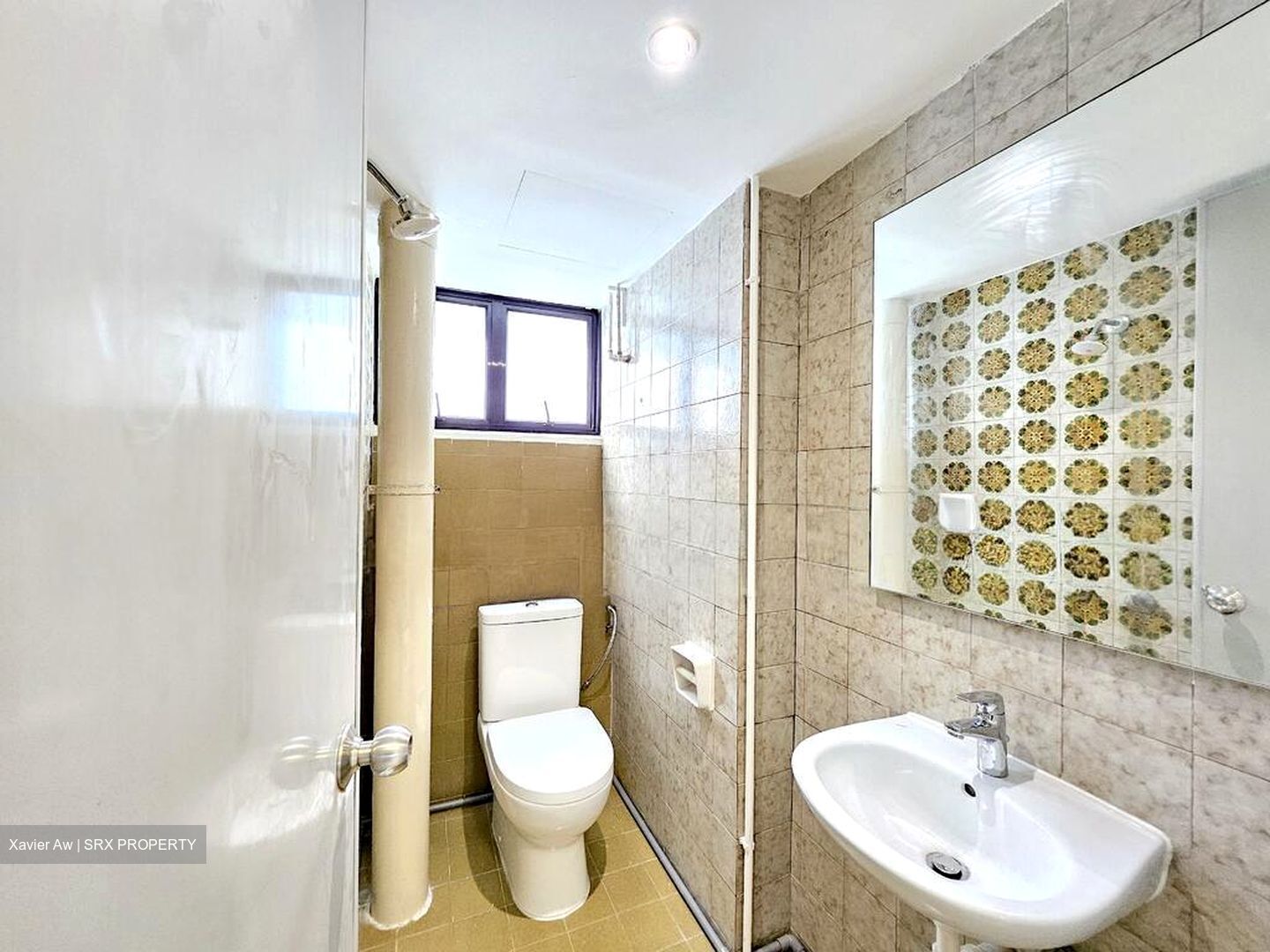 Dunearn Road (D11), Condominium #502336871